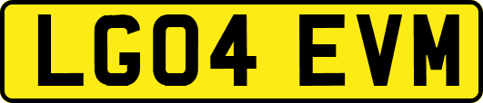 LG04EVM