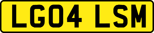 LG04LSM