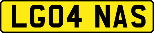 LG04NAS