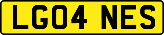LG04NES