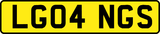 LG04NGS
