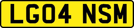 LG04NSM