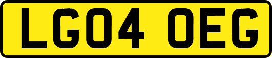 LG04OEG