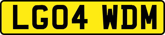 LG04WDM