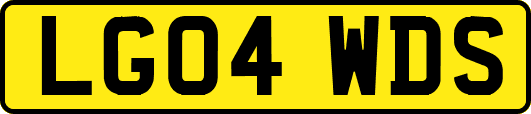 LG04WDS