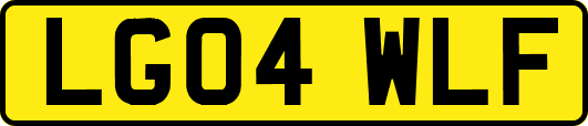 LG04WLF