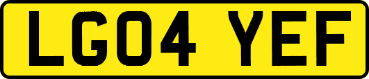 LG04YEF
