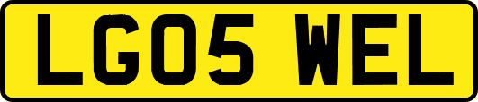 LG05WEL