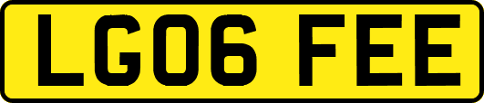LG06FEE