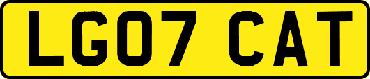 LG07CAT