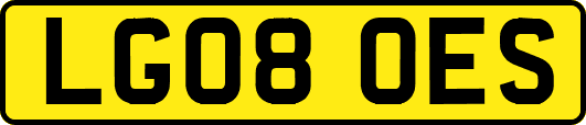 LG08OES