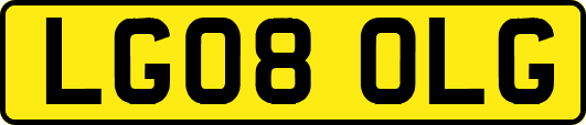 LG08OLG