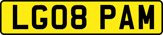 LG08PAM