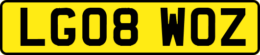LG08WOZ
