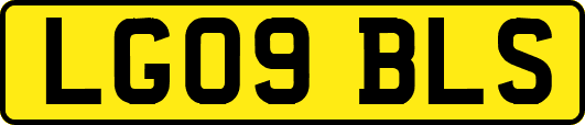 LG09BLS