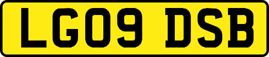 LG09DSB