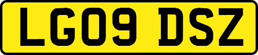 LG09DSZ