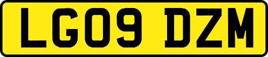LG09DZM