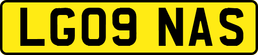 LG09NAS