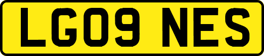 LG09NES