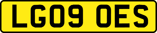 LG09OES