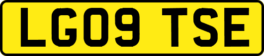 LG09TSE