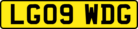 LG09WDG