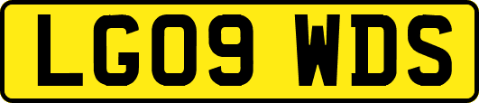 LG09WDS