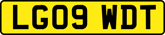 LG09WDT