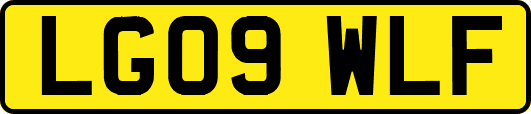LG09WLF