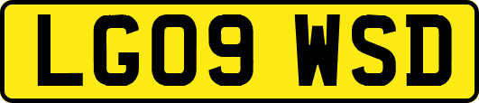 LG09WSD