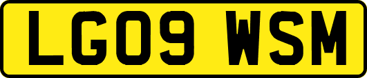 LG09WSM