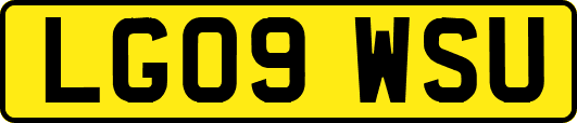 LG09WSU