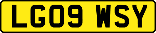 LG09WSY
