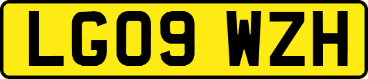 LG09WZH