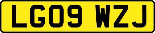 LG09WZJ