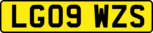 LG09WZS