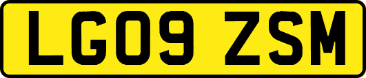 LG09ZSM
