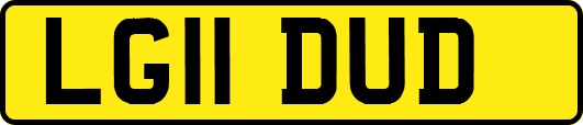 LG11DUD
