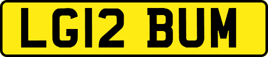 LG12BUM