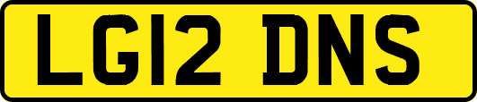LG12DNS