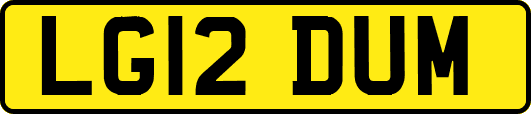 LG12DUM