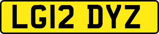 LG12DYZ