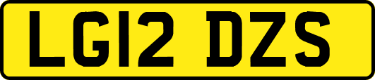 LG12DZS