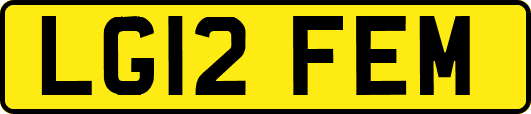 LG12FEM