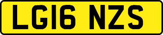 LG16NZS