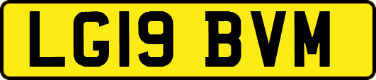 LG19BVM