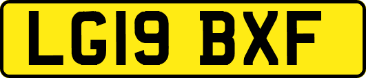 LG19BXF