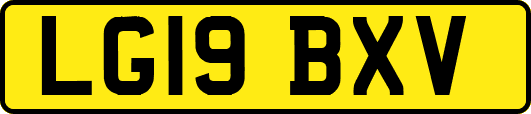LG19BXV