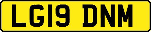 LG19DNM